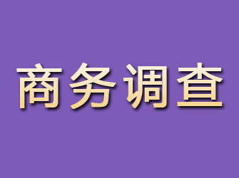 丰宁商务调查